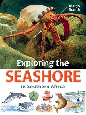 cover image of Exploring the Seashore in Southern Africa